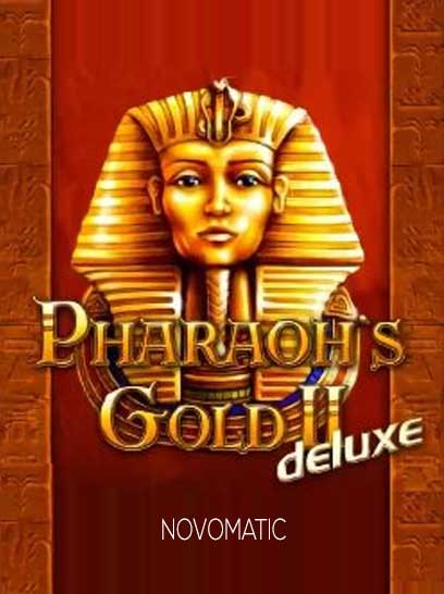 Ramses2DX